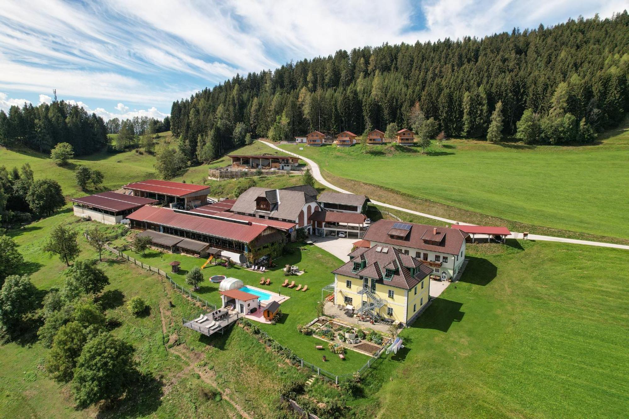 Hochleben-Chalets Am Erlebnisbauernhof Steinerhof Liebenfels Exterior photo